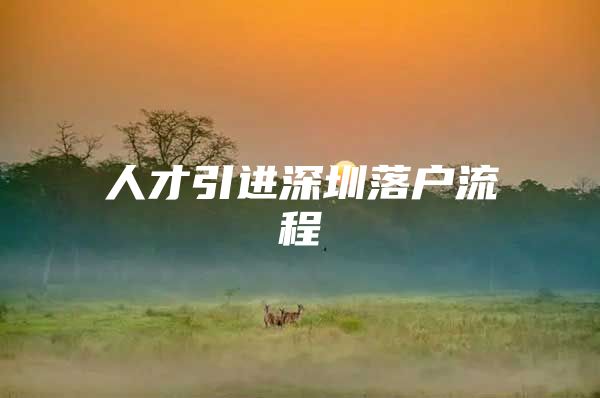 人才引进深圳落户流程