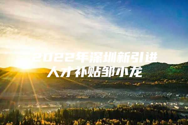 2022年深圳新引进人才补贴邹小龙