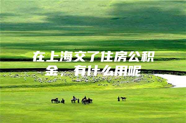 在上海交了住房公积金，有什么用呢