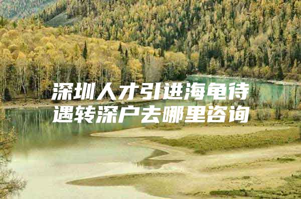 深圳人才引进海龟待遇转深户去哪里咨询