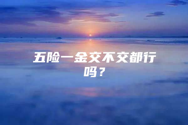 五险一金交不交都行吗？
