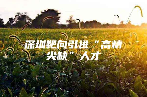 深圳靶向引进“高精尖缺”人才