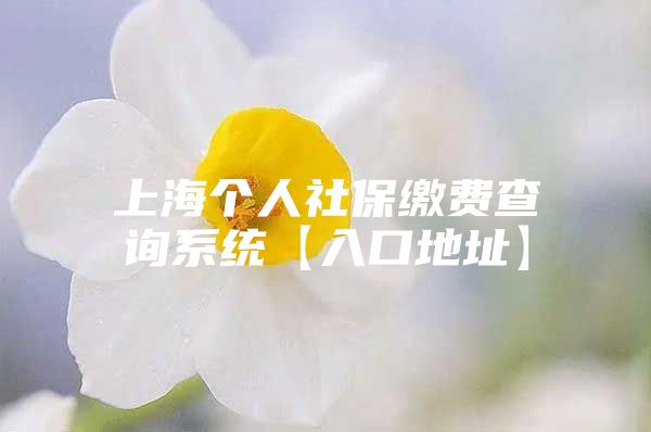 上海个人社保缴费查询系统【入口地址】