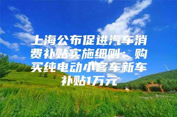上海公布促进汽车消费补贴实施细则：购买纯电动小客车新车补贴1万元
