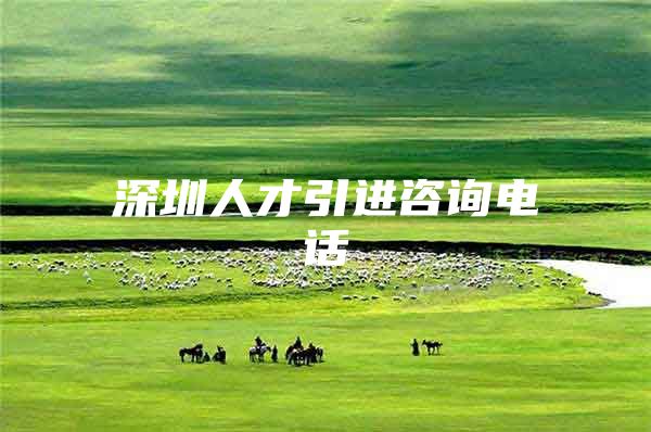 深圳人才引进咨询电话