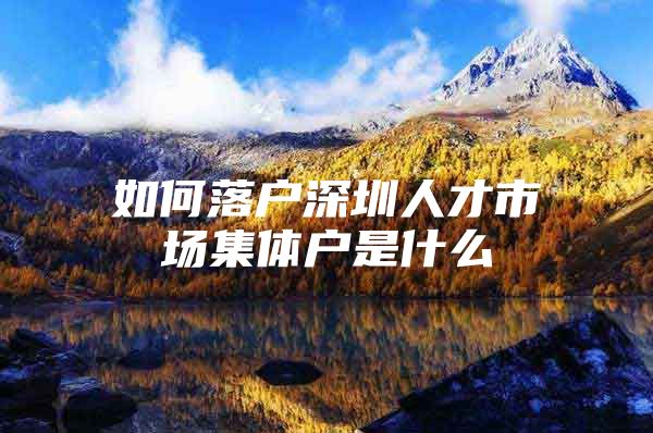如何落户深圳人才市场集体户是什么