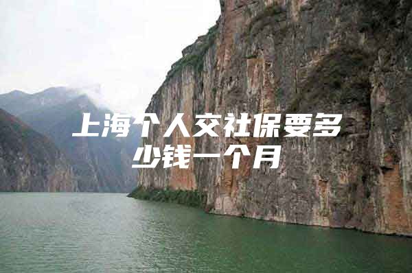 上海个人交社保要多少钱一个月