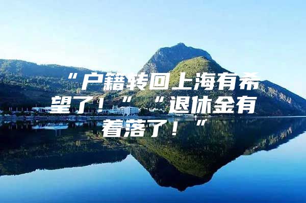 “户籍转回上海有希望了！”“退休金有着落了！”