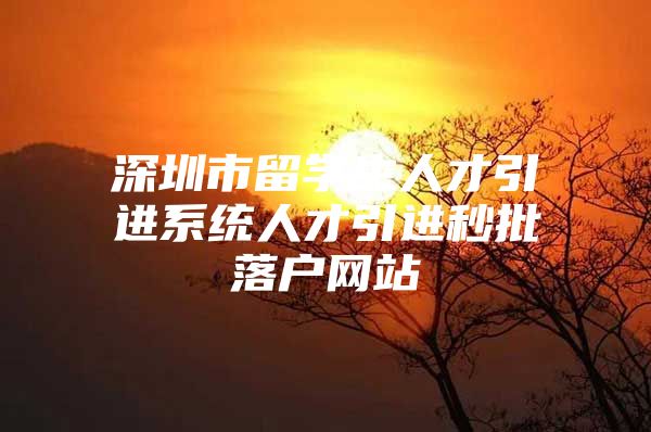 深圳市留学生人才引进系统人才引进秒批落户网站