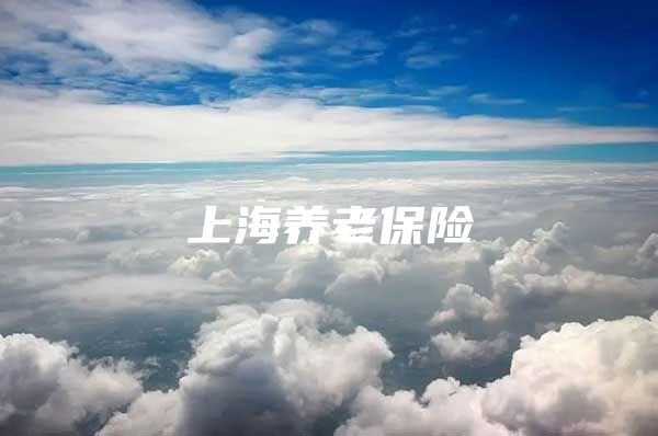 上海养老保险