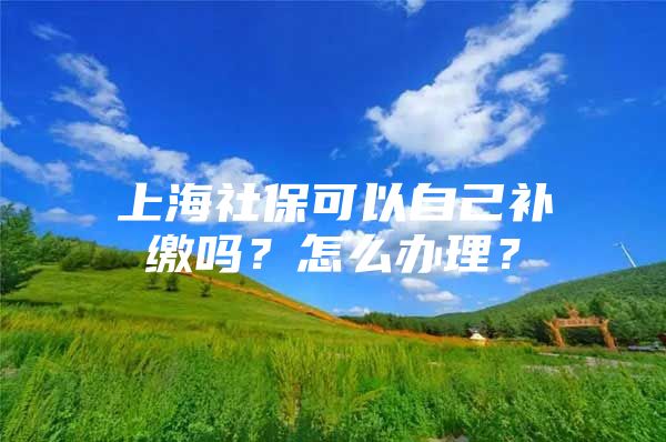 上海社保可以自己补缴吗？怎么办理？