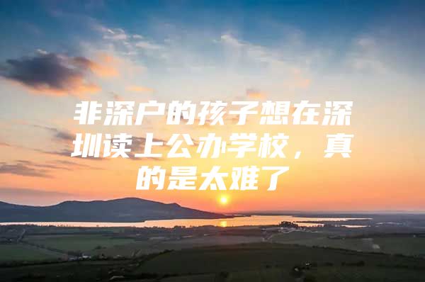 非深户的孩子想在深圳读上公办学校，真的是太难了