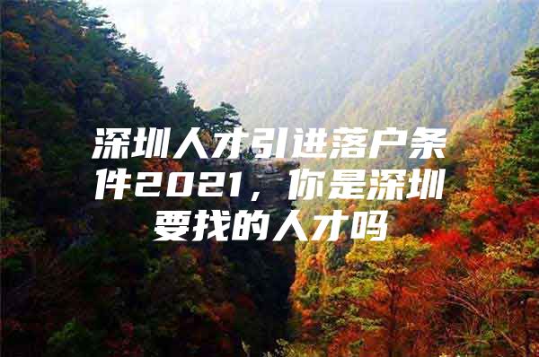 深圳人才引进落户条件2021，你是深圳要找的人才吗