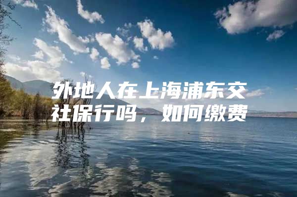 外地人在上海浦东交社保行吗，如何缴费