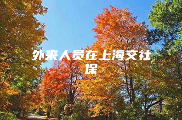 外来人员在上海交社保