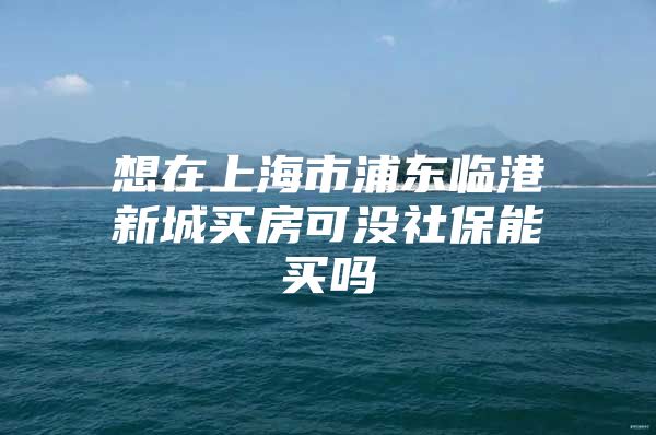 想在上海市浦东临港新城买房可没社保能买吗