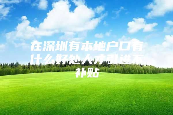 在深圳有本地户口有什么好处人才引进不补贴