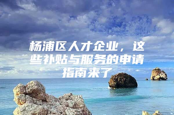 杨浦区人才企业，这些补贴与服务的申请指南来了