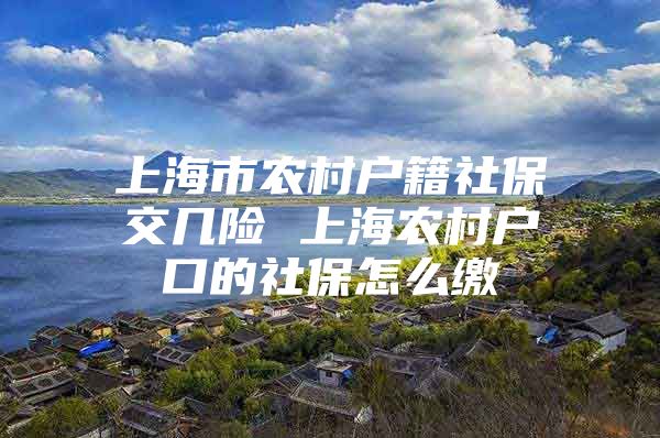 上海市农村户籍社保交几险 上海农村户口的社保怎么缴