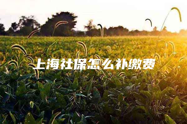 上海社保怎么补缴费