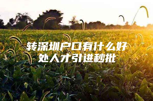 转深圳户口有什么好处人才引进秒批
