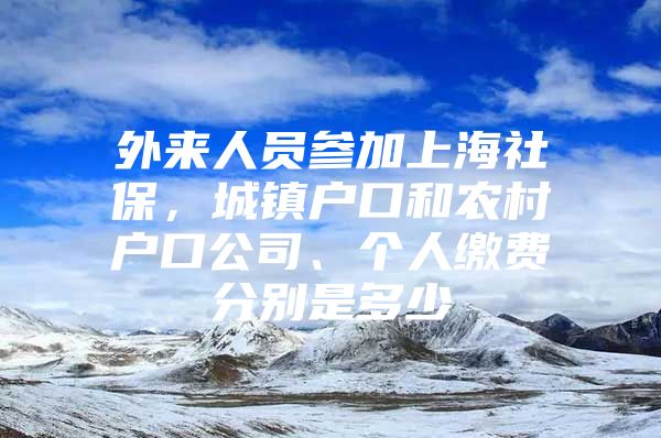 外来人员参加上海社保，城镇户口和农村户口公司、个人缴费分别是多少