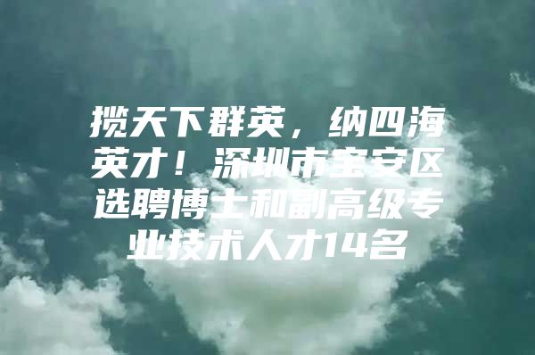 揽天下群英，纳四海英才！深圳市宝安区选聘博士和副高级专业技术人才14名