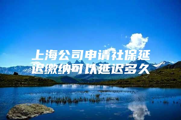 上海公司申请社保延迟缴纳可以延迟多久