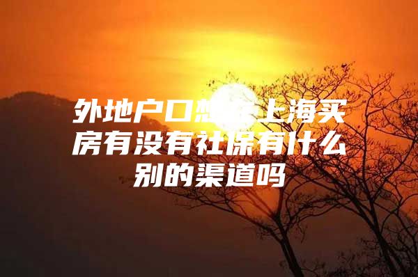 外地户口想在上海买房有没有社保有什么别的渠道吗