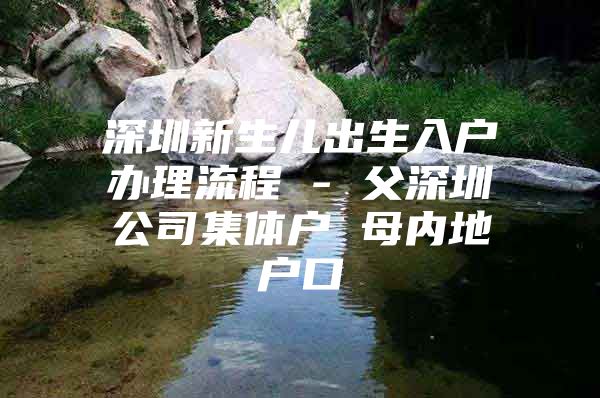 深圳新生儿出生入户办理流程 - 父深圳公司集体户 母内地户口