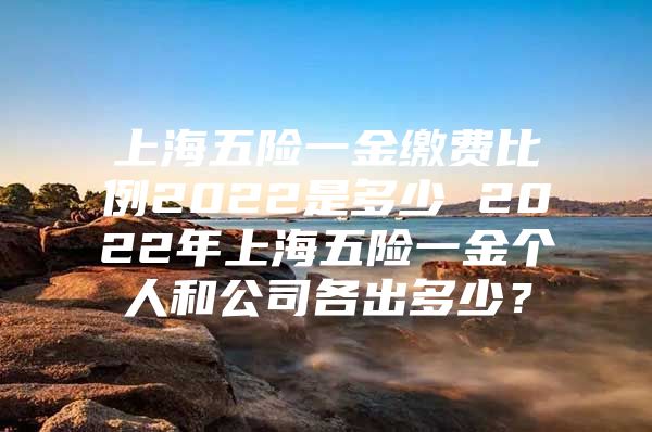 上海五险一金缴费比例2022是多少 2022年上海五险一金个人和公司各出多少？