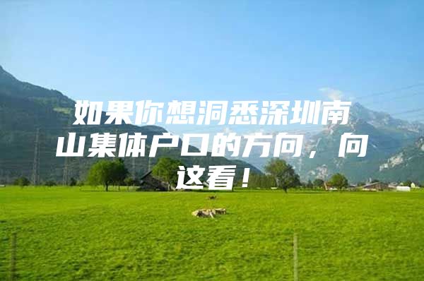 如果你想洞悉深圳南山集体户口的方向，向这看！