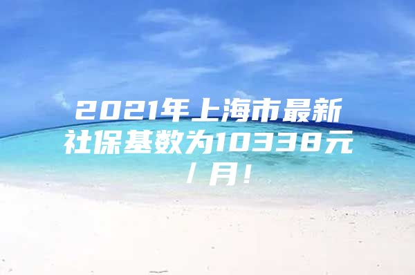 2021年上海市最新社保基数为10338元／月！