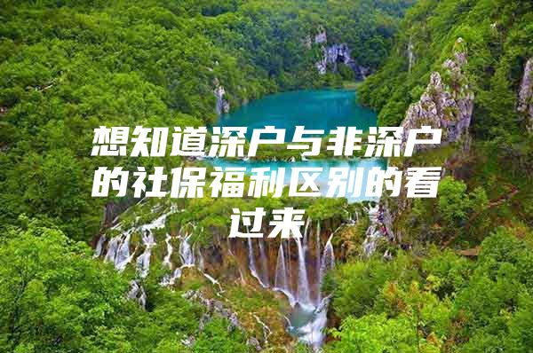 想知道深户与非深户的社保福利区别的看过来