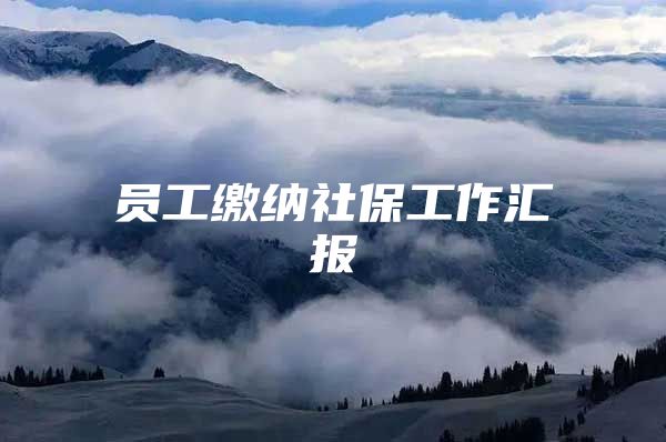员工缴纳社保工作汇报