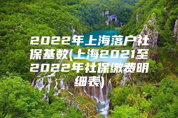 2022年上海落户社保基数(上海2021至2022年社保缴费明细表)