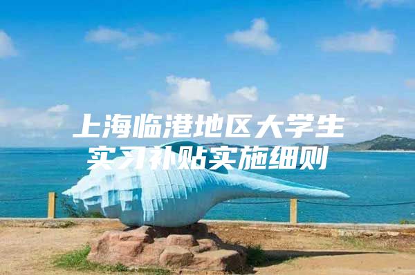 上海临港地区大学生实习补贴实施细则
