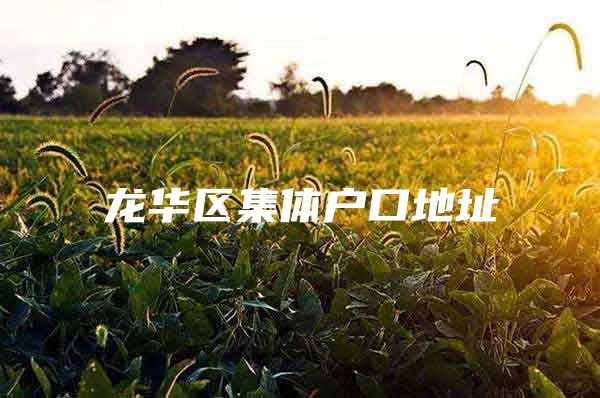 龙华区集体户口地址