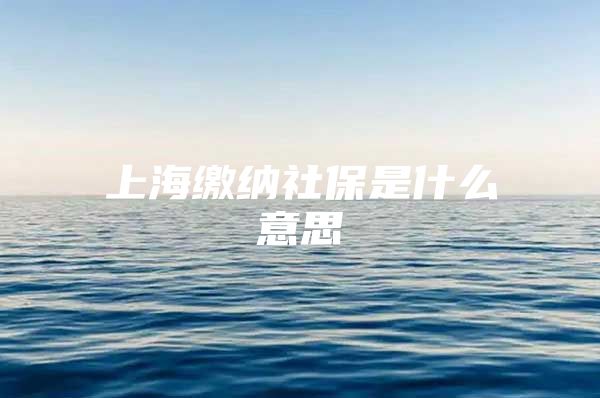 上海缴纳社保是什么意思