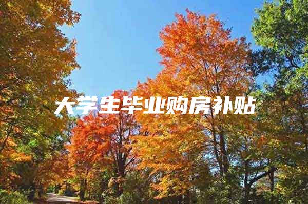 大学生毕业购房补贴