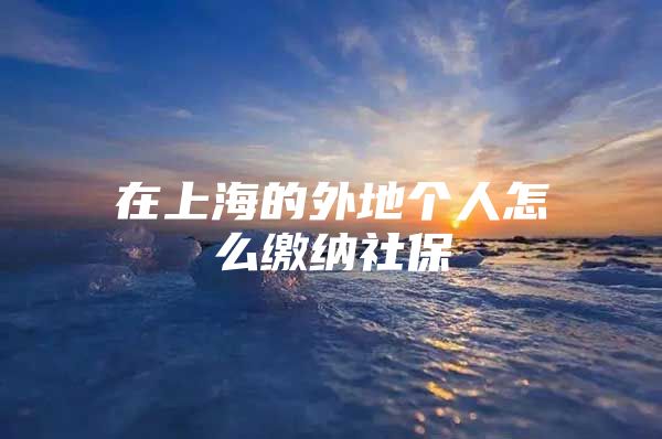 在上海的外地个人怎么缴纳社保