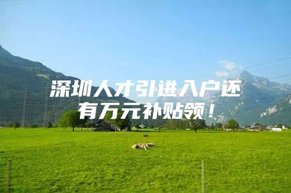 深圳人才引进入户还有万元补贴领！
