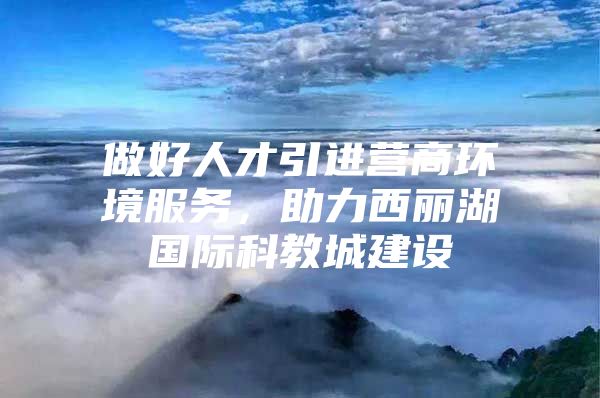 做好人才引进营商环境服务，助力西丽湖国际科教城建设