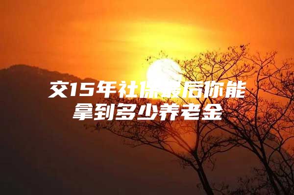 交15年社保最后你能拿到多少养老金
