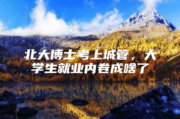 北大博士考上城管，大学生就业内卷成啥了