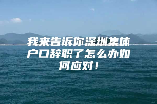 我来告诉你深圳集体户口辞职了怎么办如何应对！