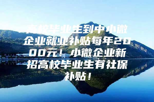 高校毕业生到中小微企业就业补贴每年2000元！小微企业新招高校毕业生有社保补贴！
