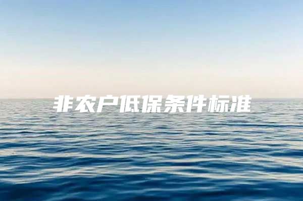 非农户低保条件标准