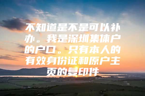 不知道是不是可以补办。我是深圳集体户的户口。只有本人的有效身份证和原户主页的复印件