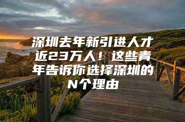 深圳去年新引进人才近23万人！这些青年告诉你选择深圳的N个理由